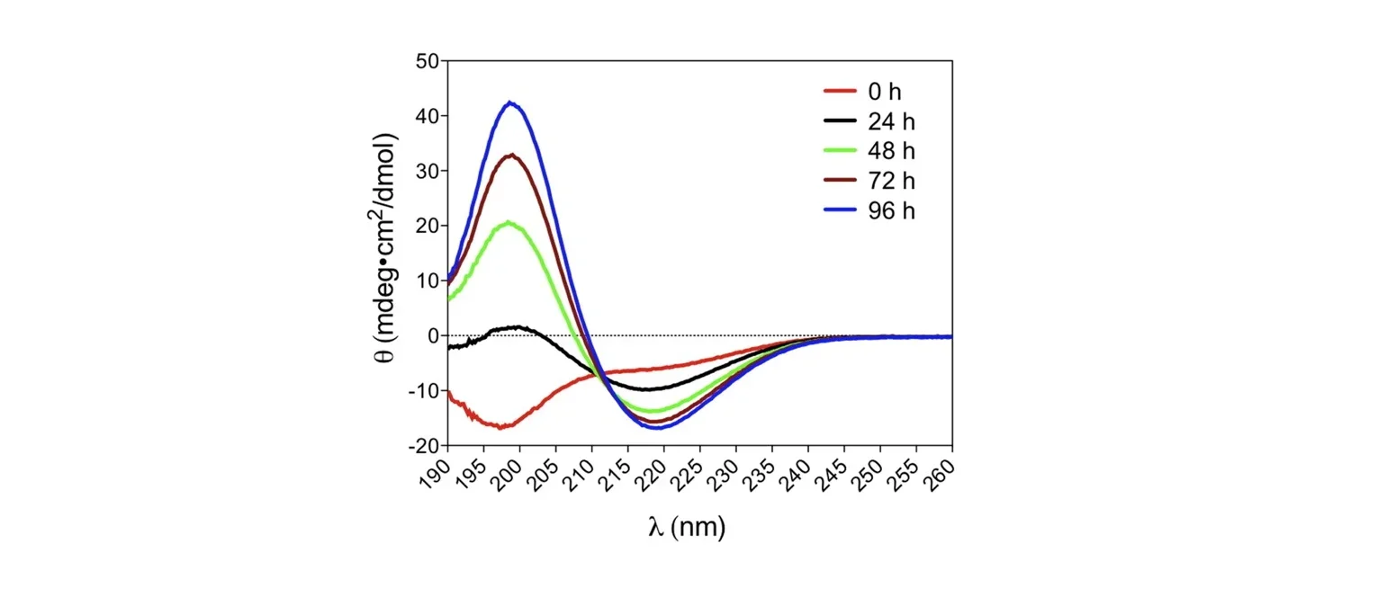 Time-dependent change in the circular dichroism spectrum of Aβ during aggregation.