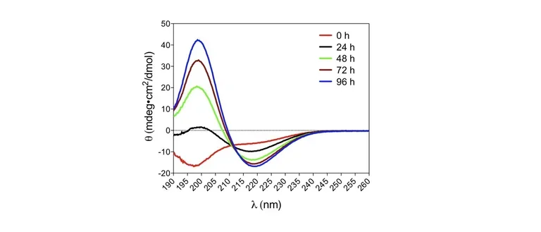 Time-dependent change in the circular dichroism spectrum of Aβ during aggregation.