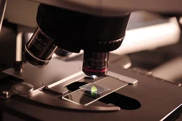 Microscope close-up.