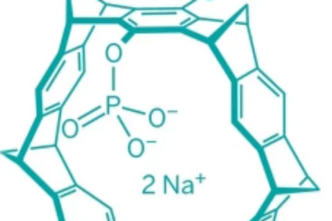 "Molecular tweezer" are a chemical compound in a shape resembling a horseshoe.