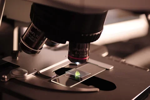 Microscope close-up.