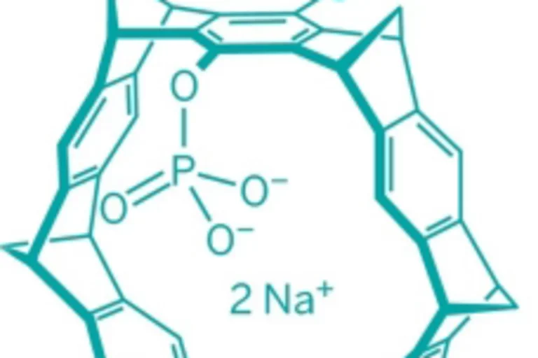 "Molecular tweezer" are a chemical compound in a shape resembling a horseshoe.