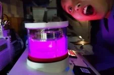 Headshot photo of Megan EM